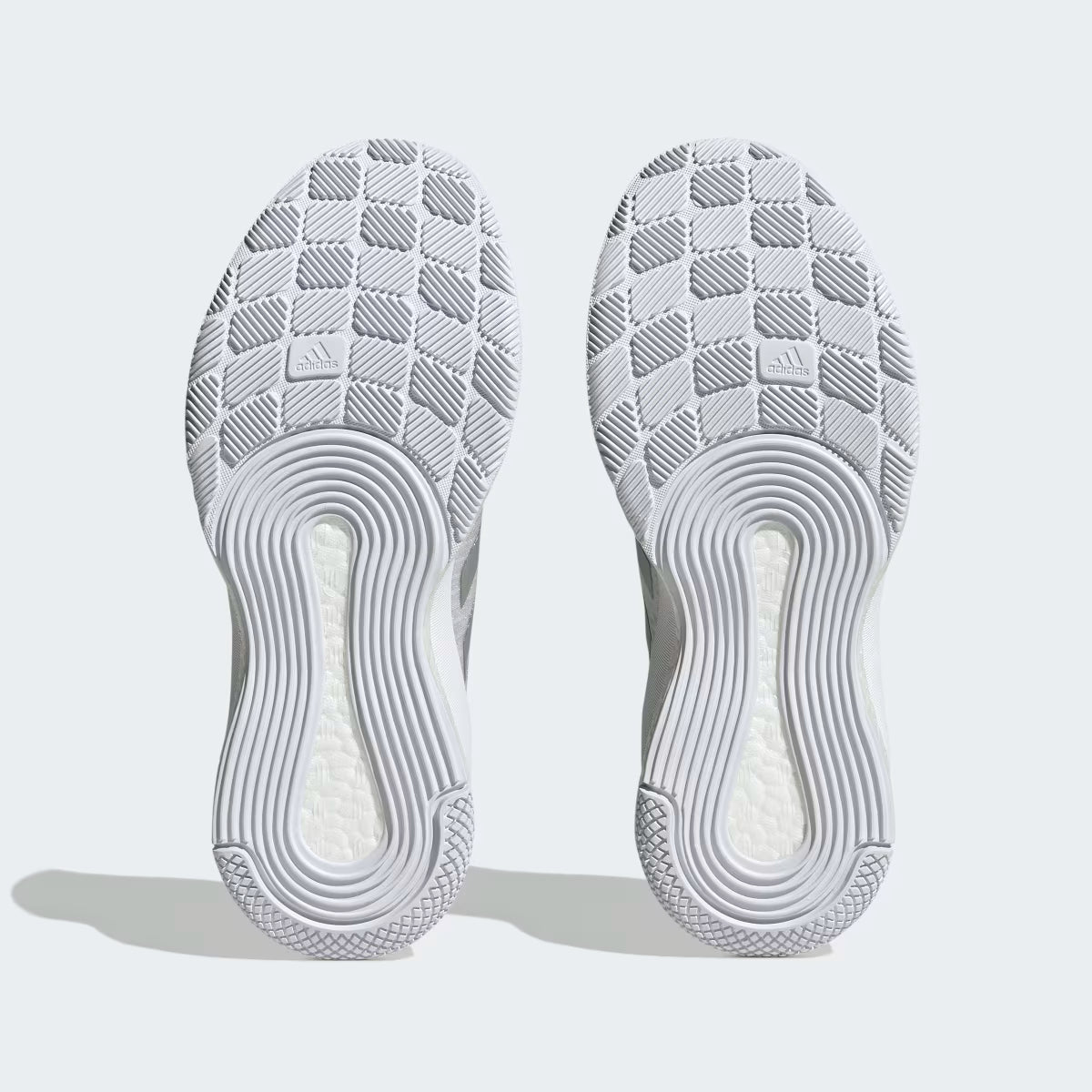 Adidas Crazyflight (ORIGINAL)